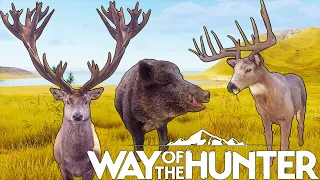 This Was Supposed to Be a Hog Hunt... | Way of the Hunter