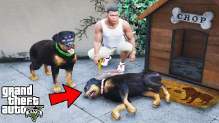 What Happens if Franklin KILLS CHOP Girlfriend in GTA 5