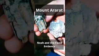 Noah's Ark Discovered Documentary: Mt. Ararat & Evidence of the Flood - Full Video in Description