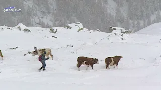 Zurück nach Südtirol   von geosfilm