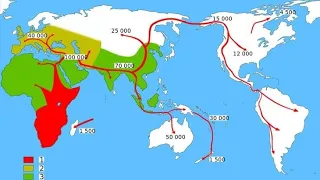 Human Miagration, Map Shows How Humans Migrated Across The Globe