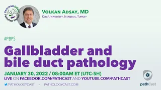 Gallbladder and bile duct pathology - Dr. Adsay