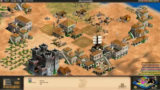 AoE2 HD 4v4 nomad