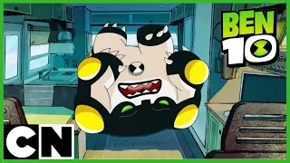 Ben 10 | The Omnitrix Glitch 👽 | Cartoon Network