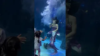 POV: your biggest dream is to make others’ dreams come true! 🥹 #mermaid #mermaidtail #aquarium #h2o