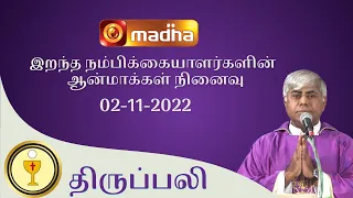 🔴 LIVE  02 November 2022 Holy Mass in Tamil 06:00 PM (Evening Mass) | Madha TV