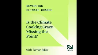 318: Is the Climate Cooking Craze Missing the Point?—w/ Tamar Adler, author of An Everlasting Meal