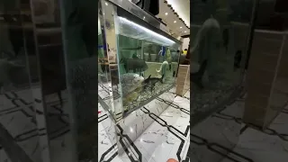 Monster Fish Tank at Qasar Al Izz Mandi Restaurant, AlAin, UAE