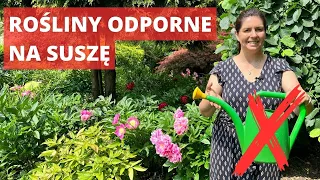 Rośliny odporne na suszę