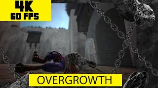 Overgrowth  - Top meat in the arena PC ULTRA 4K Gameplay