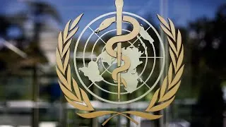 WHO holds briefing to update on the coronavirus outbreak