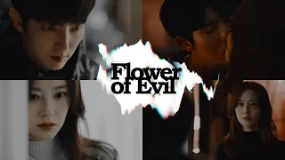 ► flower of evil | honest
