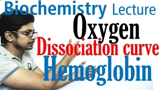 Oxygen hemoglobin dissociation curve explained