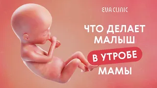 ВНУТРИУТРОБНАЯ ЭРЕКЦИЯ У МАЛЬЧИКОВ???/КУДА ПИСАЕТ МАЛЫШ И ЧТО ВИДИТ ВНУТРИ МАМЫ?/РАССКАЗЫВАЕТ ВРАЧ