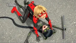 Mr Bug and Ladynoir ! FINALLY !