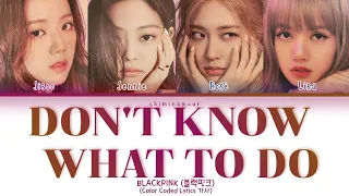 BLACKPINK (블랙핑크) - 'Don't Know What To Do' [Color Coded Lyrics 가사]