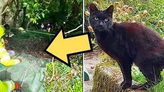 Cat Won’t Stop Meowing Until Neighbor Checks 70ft Ravine, Calls Police