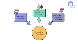 What are executive functions - 2022