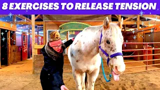 8 WAYS TO RELEASE TENSION IN YOUR HORSE