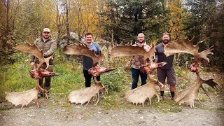 Hunting Moose in the Yukon