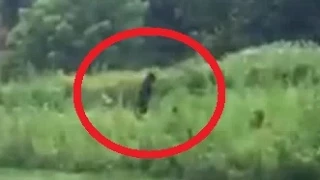 See 'Bigfoot' Caught On Camera By Holidaymaker Walking His Dog In North Carolina