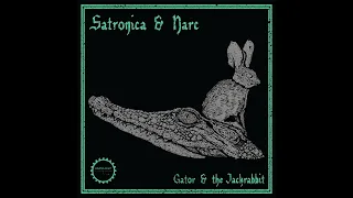 Satronica & Gator - Jackrabbit