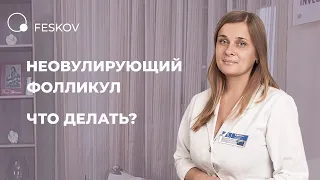 Неовулирующий фолликул. Что делать? | Клиника профессора Феськова А.М.