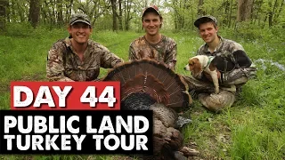 IOWA TOMS AND RETURNING A RUNAWAY DOG! - Public Land Turkey Tour Day 44