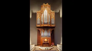 Andrew Morris, organ