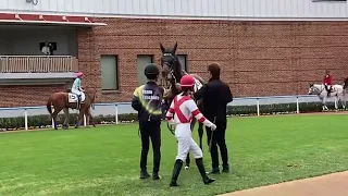 函館競馬　パドック　函館初参戦　藤田菜七子騎手とアパラギ