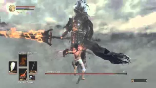 SL1 NG+6 Nameless King Kill