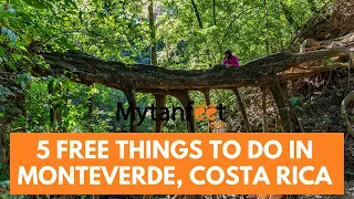 5 cheap or FREE things to do in Monteverde, Costa Rica!