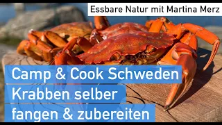 Selber Krabben fangen & zubereiten in Schweden mit der Krebsreuse, Camp & Cook im September