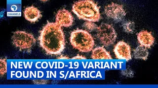 South Africa Scientists Monitoring New COVID-19 Variant | Network Africa