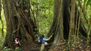 Jungle trekking in Maliau Basin, Sabah's Lost World