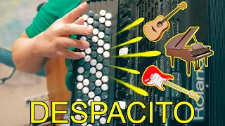 Despacito - Luis Fonsi ft. Daddy Yankee (played on accordion with different sounds)