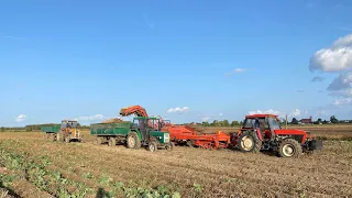 Transport Ziemniaków + Zakończenie Wykopków 2023 oraz Smutne Podsumowanie Sezonu… Rolnik Łukasz