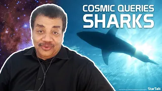 StarTalk Podcast: Cosmic Queries – Sharks, with Neil deGrasse Tyson & Jordan Klepper