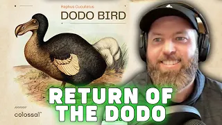 Scientists Are Bringing The Dodo Bird Back