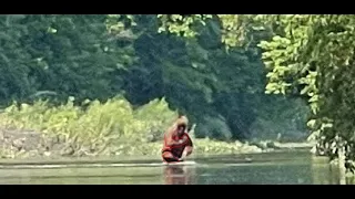 Cass River Sasquatch Video in Michigan Zoom Crop Slow Stabilized