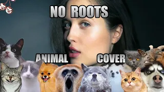 Alice Merton - No Roots (Animal Cover)