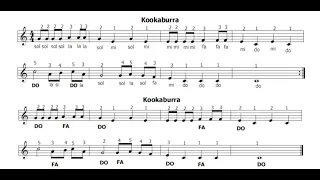 Kookaburra - Spartito con base musicale