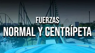 FUERZA NORMAL Y FUERZA CENTRÍPETA EN MONTAÑAS RUSAS