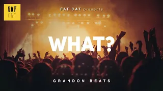 (free) Raw 90s old school boom bap type beat x Freestyle Beat | 'What?'