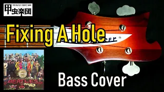 Fixing a Hole (The Beatles - Bass Cover) 50th Anniversary