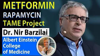 Metformin, Rapamycin & TAME Project | Dr. Nir Barzilai | Albert Einstein College of Medicine