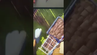 Easy way to escape the neighbor in hello neighbor act 2