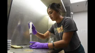 Kelsey Galvan, 2022 Fresno State Jordan College Day of Giving Plant Science Student Spotlight