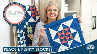 LIVE: Peace & Plenty Blocks for Moonbeams Charity Quilt Part 3! - Behind the Seams