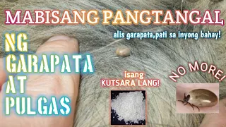 #mabisangpangtangalnggarapata #gamotnapamataygarapata | MABISANG PANGTANGAL AT PAMATAY GARAPATA